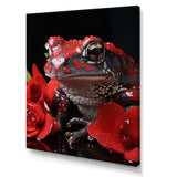 Red Frog Portrait - Frog Wall Decor