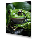 Green Frog Portrait - Frog Wall Art Prints