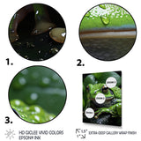 Green Frog Portrait - Frog Wall Art Prints