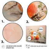 Fruit Abstract Peach - Food & Beverage Canvas Wall Art