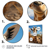 Cute Giraffe Portrait - Beige Giraffe Wall Art