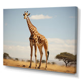 Giraffe Gentle Horizon - Giraffe Living Room Wall Art