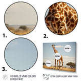 Giraffe Gentle Horizon - Giraffe Living Room Wall Art