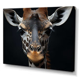 Black And White Giraffe Portrait I - Animals Canvas Wall Art