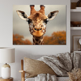 Giraffe Gentle Portrait - Giraffe Bedroom Wall Art