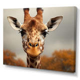 Giraffe Gentle Portrait - Giraffe Bedroom Wall Art