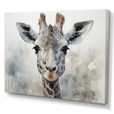 Giraffe Graceful Necks - Giraffe Canvas Wall Art