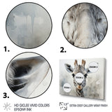Giraffe Graceful Necks - Giraffe Canvas Wall Art