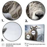 Goat Mountain Guardian - Goat Wall Art Prints