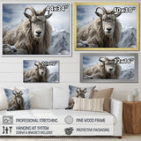 Goat Mountain Guardian - Goat Wall Art Prints