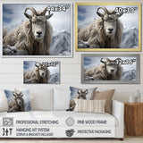 Goat Mountain Guardian - Goat Wall Art Prints