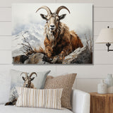 Goat Mountain Majesty - Goat Framed Canvas Art