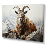 Goat Mountain Majesty - Goat Framed Canvas Art
