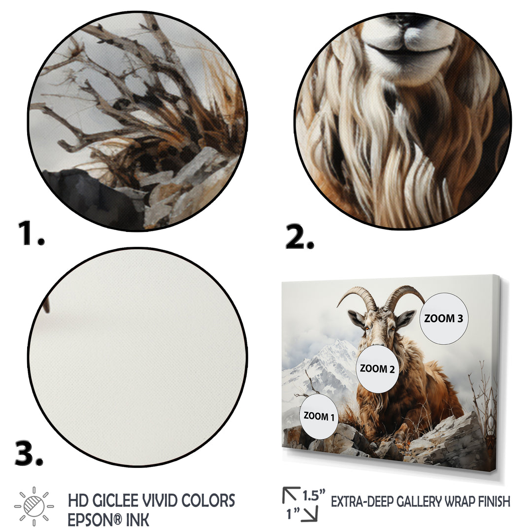 Goat Mountain Majesty - Goat Framed Canvas Art
