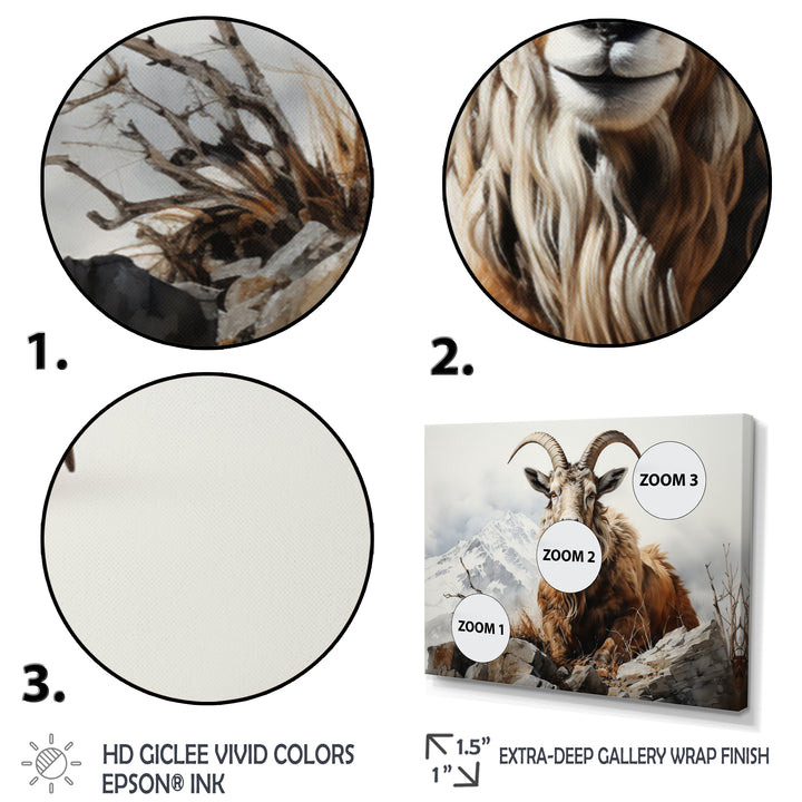 Goat Mountain Majesty - Goat Framed Canvas Art