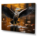 Yellow Black Heron Elegance Unveiled - Heron Canvas Wall Art