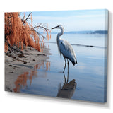 Heron Morning Stroll - Heron Framed Canvas Art