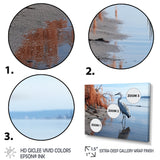 Heron Morning Stroll - Heron Framed Canvas Art