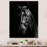 Black And White Horse Elegance - Animals Canvas Wall Art