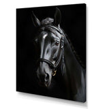 Black And White Horse Elegance - Animals Canvas Wall Art