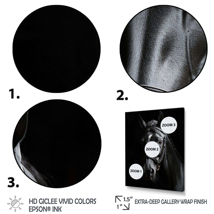 Black And White Horse Elegance - Animals Canvas Wall Art
