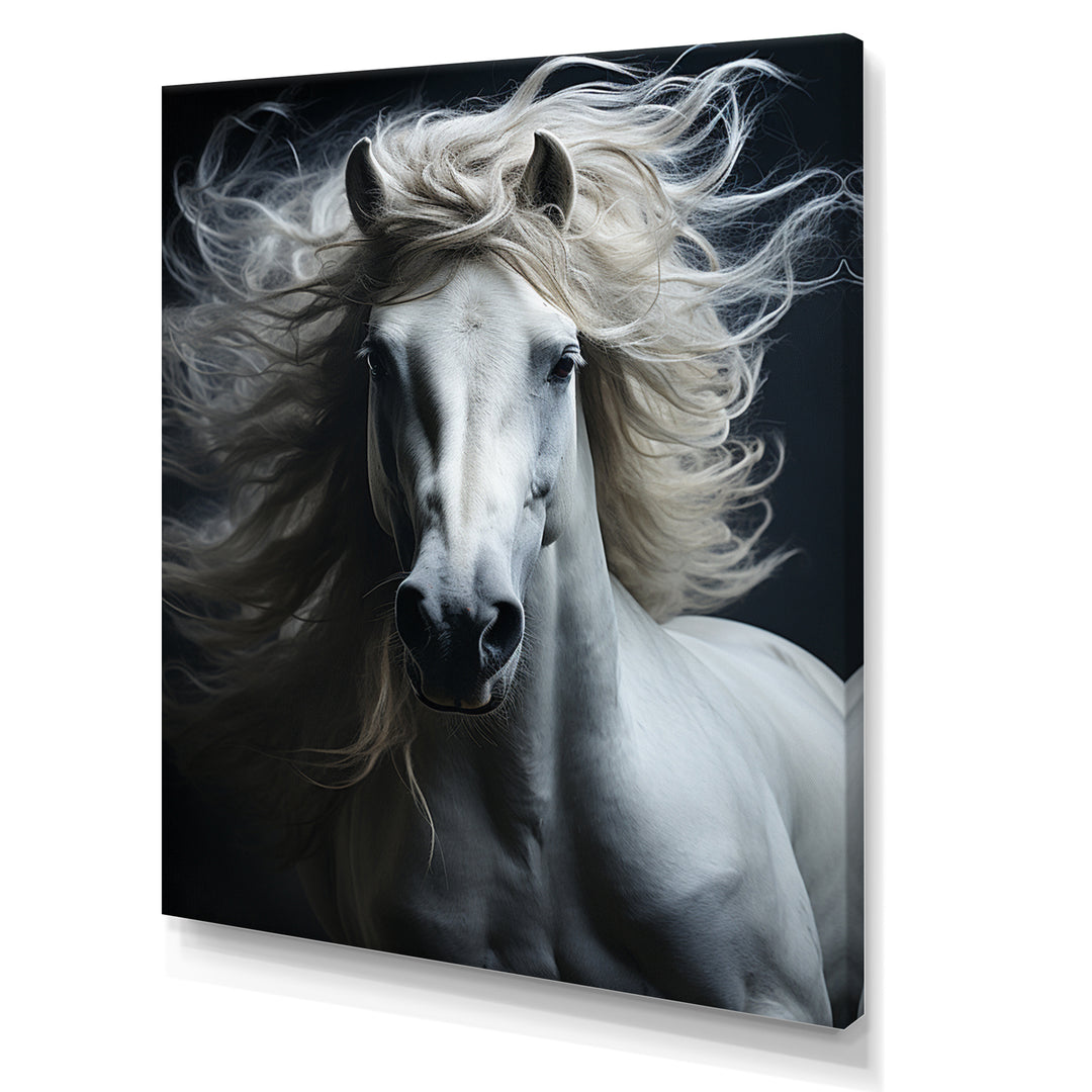White Horse Fierce Intensity - Horse Wall Art Prints