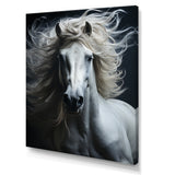 White Horse Fierce Intensity - Horse Wall Art Prints