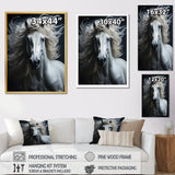 White Horse Fierce Intensity - Horse Wall Art Prints