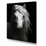 Grey Horse Majestic Monochrome - Horse Home Decor Art