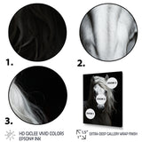Grey Horse Majestic Monochrome - Horse Home Decor Art