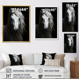 Grey Horse Majestic Monochrome - Horse Home Decor Art