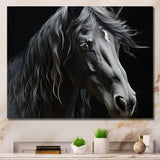 Black White Horse Portrait - Horse Canvas Wall Art