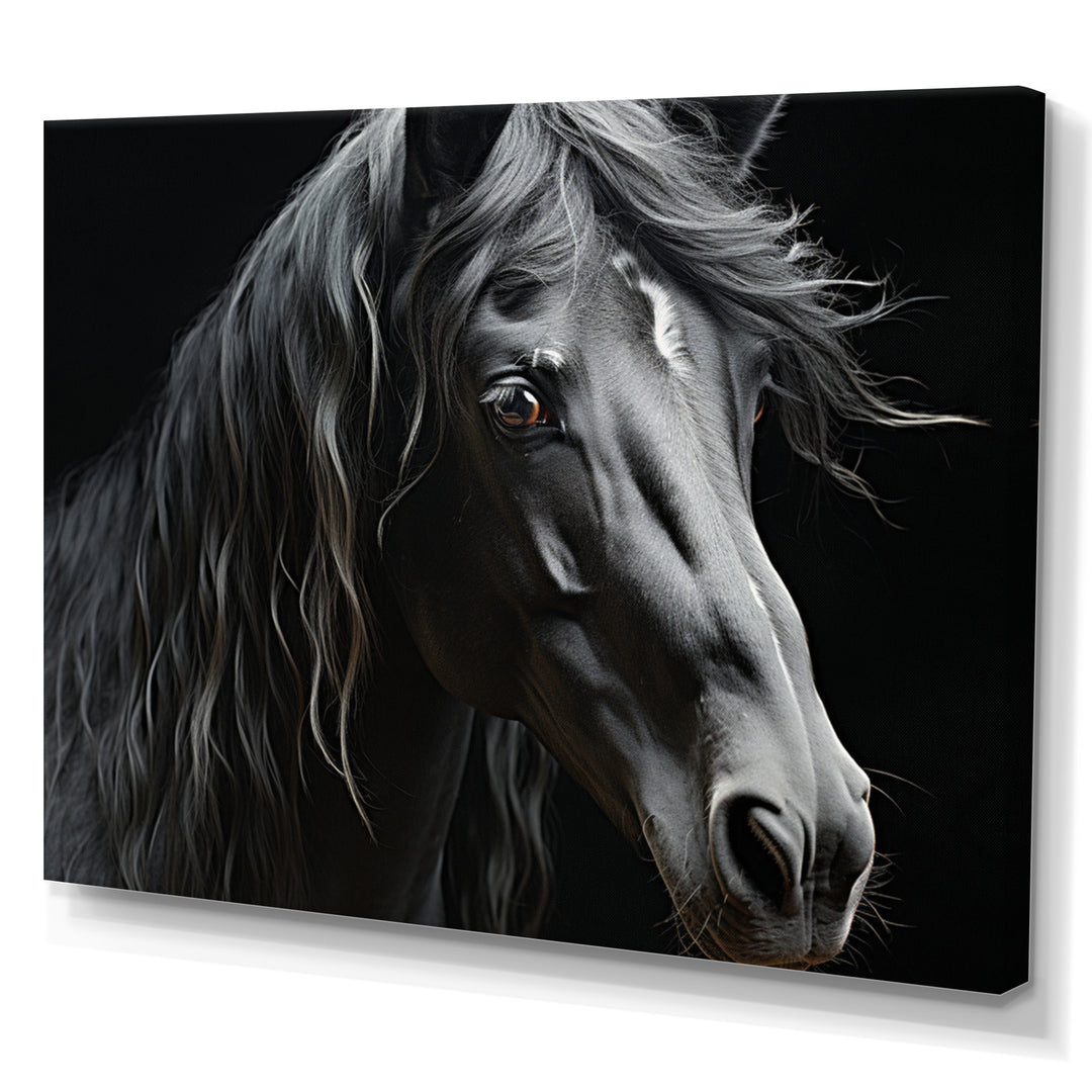Black White Horse Portrait - Horse Canvas Wall Art