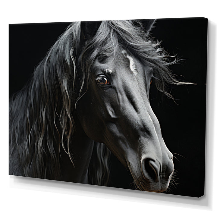 Black White Horse Portrait - Horse Canvas Wall Art