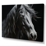 Black White Horse Portrait - Horse Canvas Wall Art