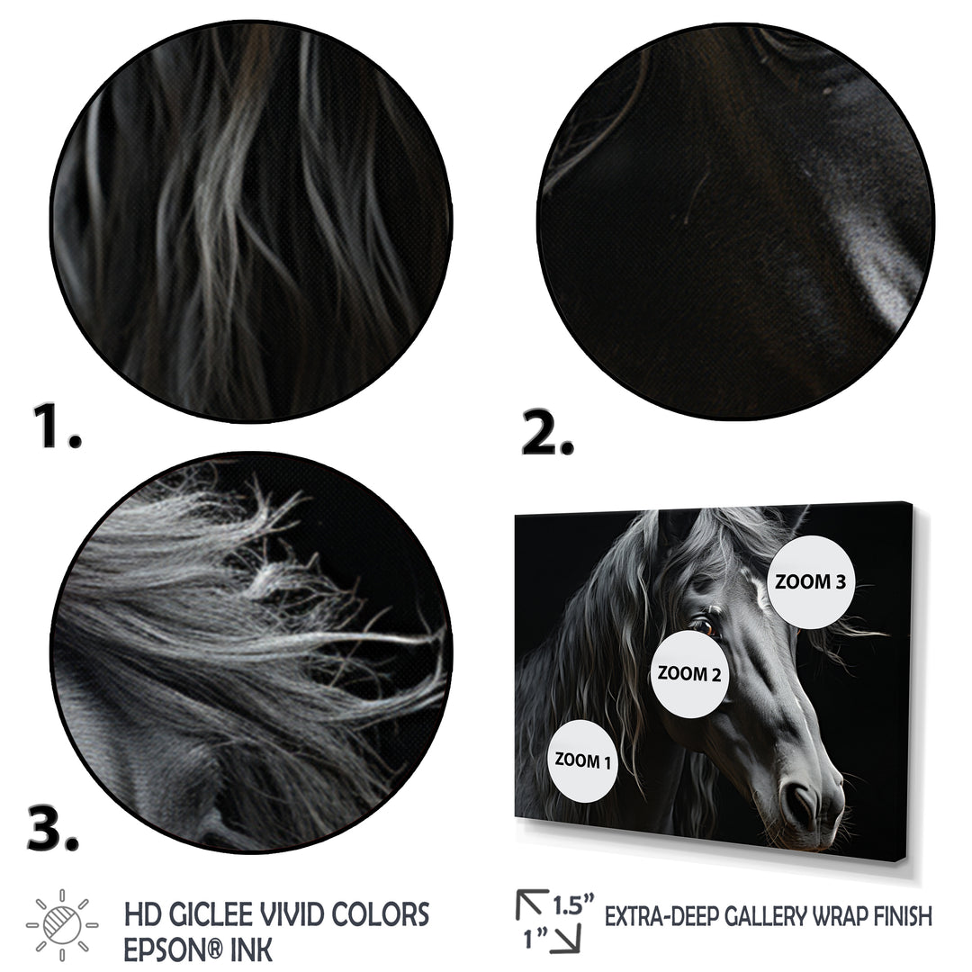 Black White Horse Portrait - Horse Canvas Wall Art