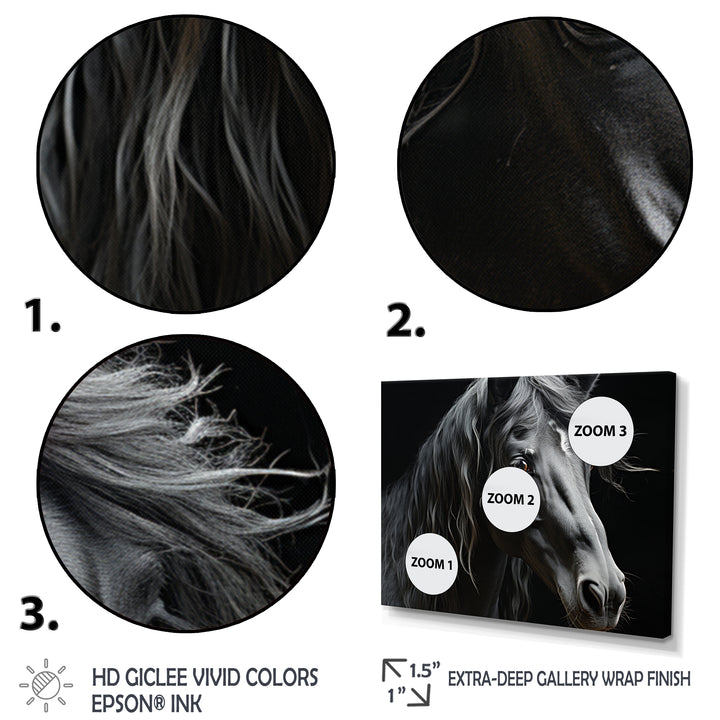 Black White Horse Portrait - Horse Canvas Wall Art