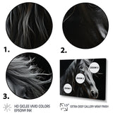 Black White Horse Portrait - Horse Canvas Wall Art