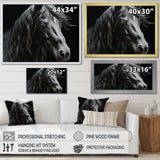 Black White Horse Portrait - Horse Canvas Wall Art