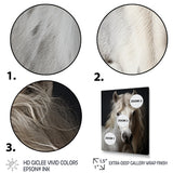 White Horse Subdued Tones - Horse Living Room Wall Art