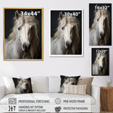 White Horse Subdued Tones - Horse Living Room Wall Art