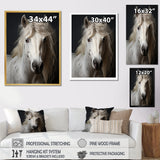 White Horse Subdued Tones - Horse Living Room Wall Art