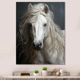 White Horse Subtle Whispers - Horse Canvas Wall Art
