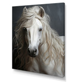White Horse Subtle Whispers - Horse Canvas Wall Art
