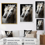 White Horse Whispering Whinnies - Horse Large Canvas Wall Art