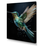 Teal Black Hummingbird Aerial Grace - Hummingbird Home Decor Art