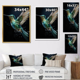 Teal Black Hummingbird Aerial Grace - Hummingbird Home Decor Art
