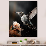 Black White Hummingbird Energetic - Hummingbird Wall Decor