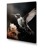 Black White Hummingbird Energetic - Hummingbird Wall Decor