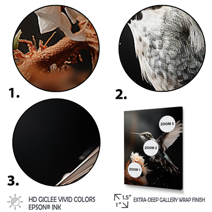 Black White Hummingbird Energetic - Hummingbird Wall Decor